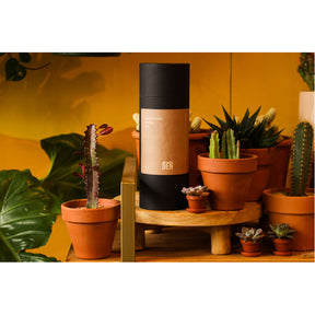 Sustainable Cactus Soil Mix