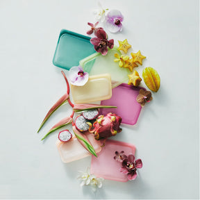 Tropical Collection: Silicone Stasher Sandwich Bag