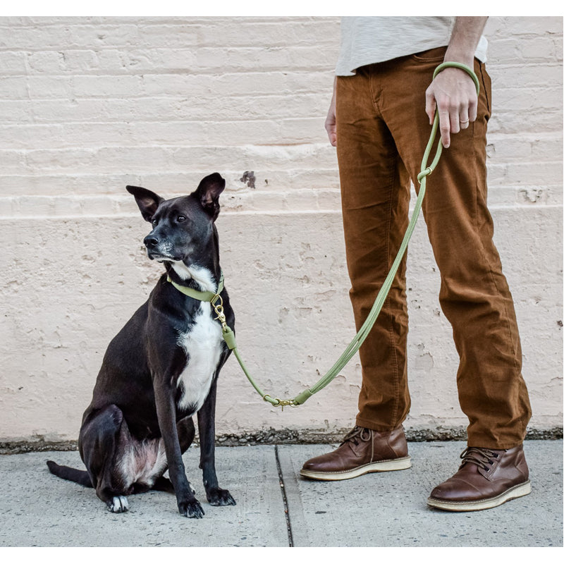 Infinity Dog Leash