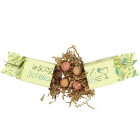 Twist, Pop, Plant Seed Starter Kit