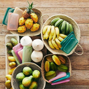 Tropical Collection: Silicone Stasher Snack Bag
