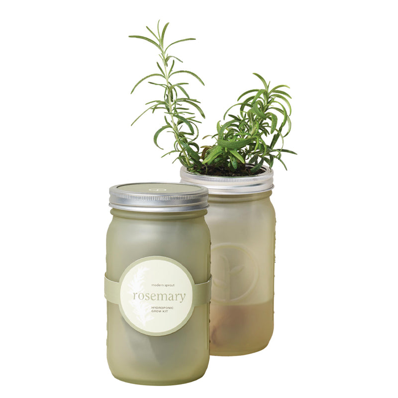 Herb Jar and Self-Watering Planter