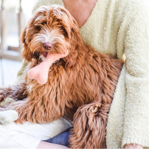 Handcrafted Felt Bone Dog Toy