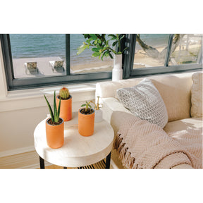 Terracotta Planter Kit