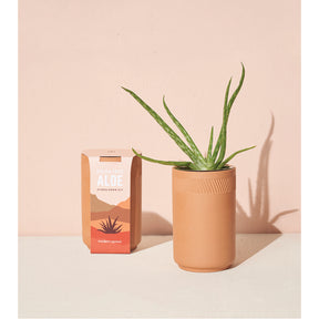 Terracotta Planter Kit