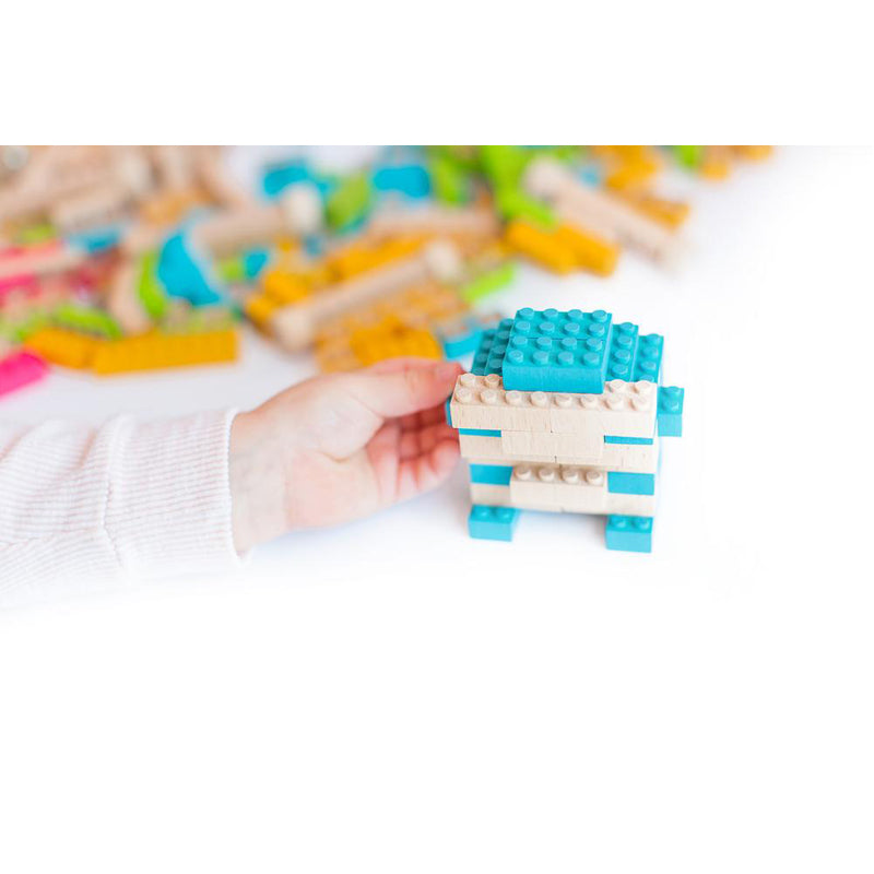 Eco-bricks Color Wooden Toy Blocks