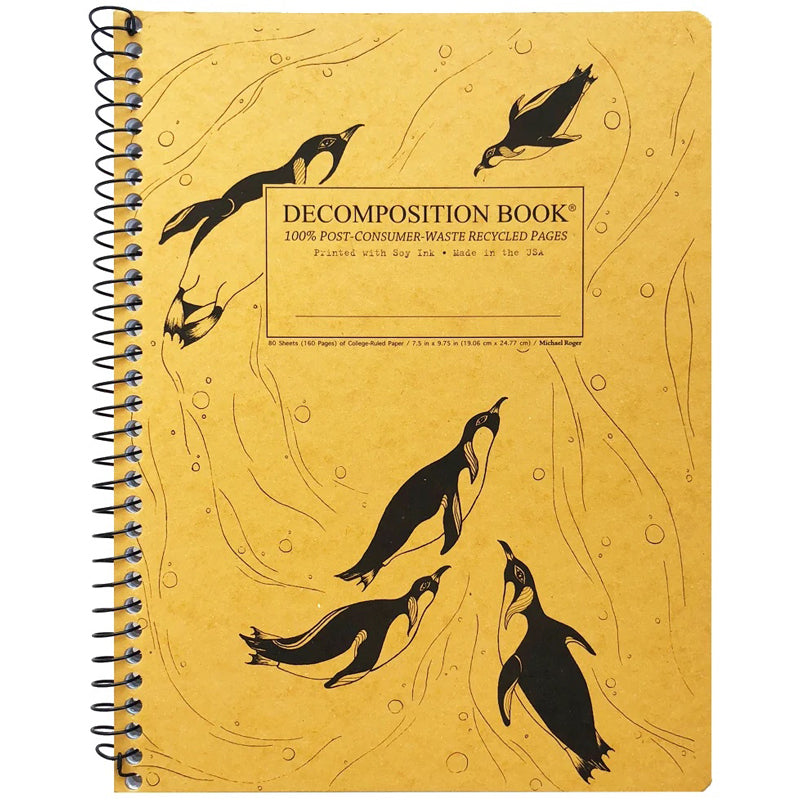 Decomposition Ruled Spiral Decomposition Notebook | EarthHero