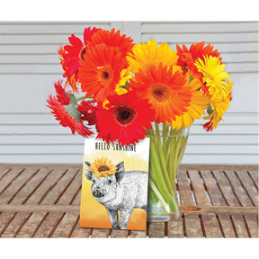 Sunflowers Blank Cards 16pk