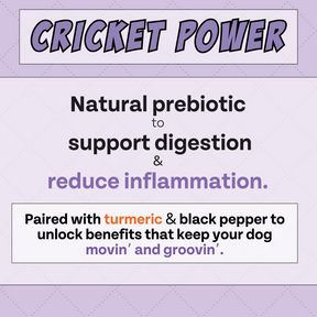 Antioxidant Dog Treats: Banana, Cricket, and Blueberry, 2pack