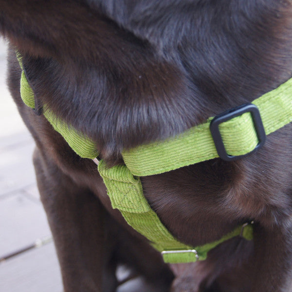 Hemp Corduroy Dog Harness