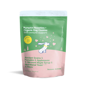 Pumpkin Noochies Organic Dog Treats
