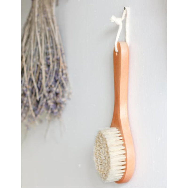 Cactus Long Handle Body Brush | Accessories & Tools