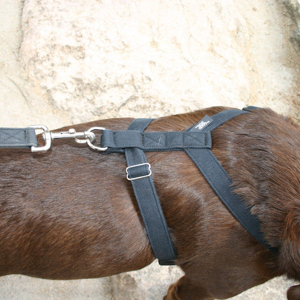 Basic Hemp Canvas Dog Harness