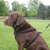 Hemp Corduroy Dog Harness