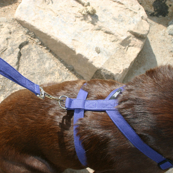 Basic Hemp Canvas Dog Harness