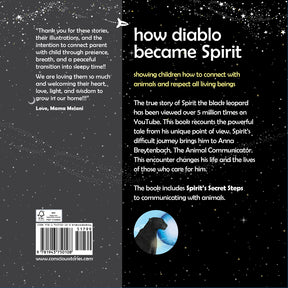 "How Diablo Became Spirit"