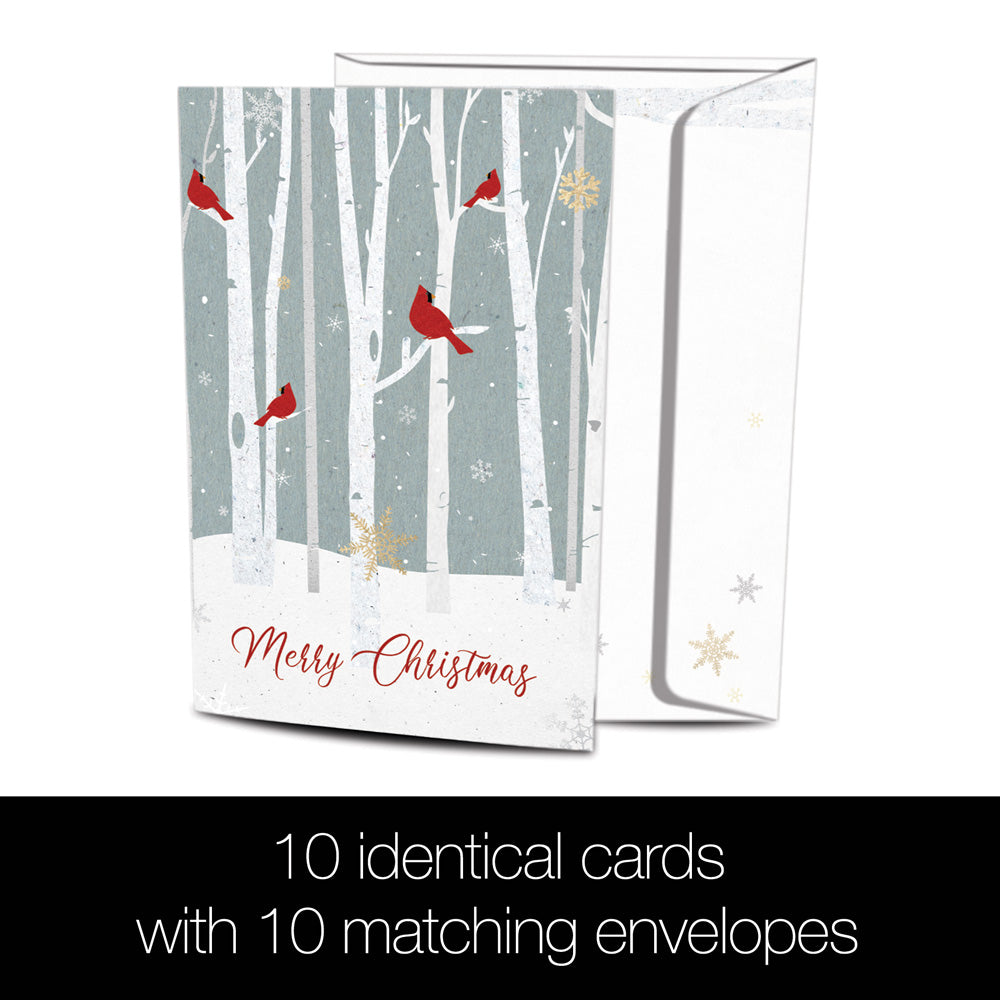 Christmas Cardinals Holiday Greeting Card Set 10pk