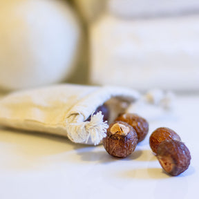 Soap Nuts Laundry Detergent