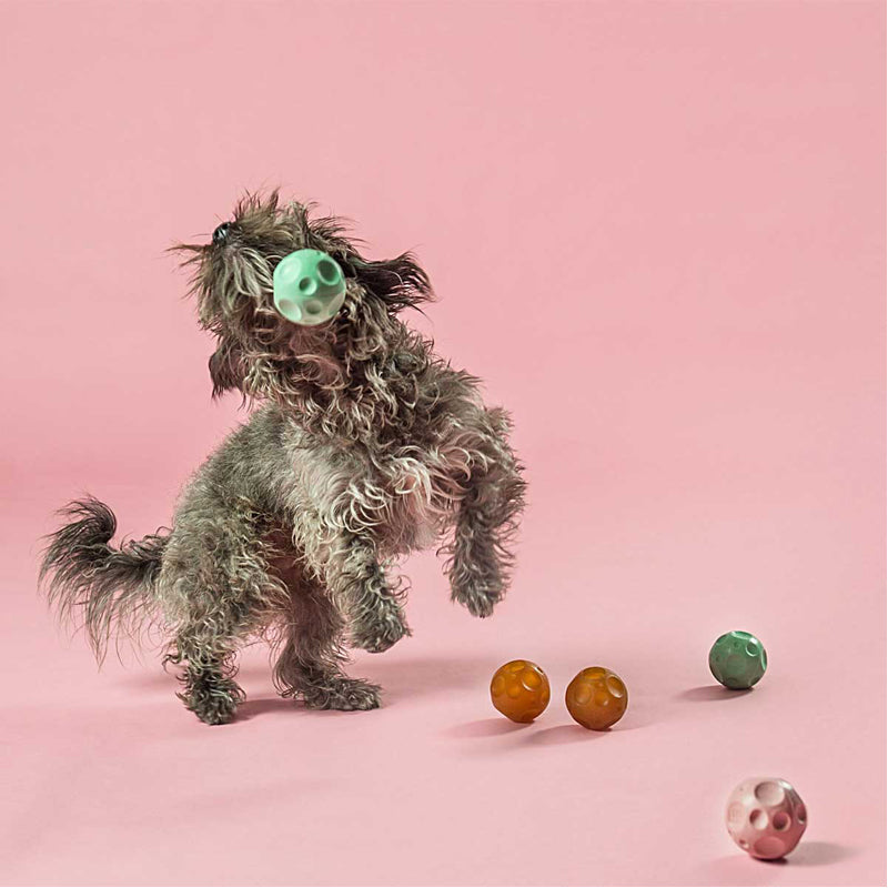Moon Ball Activity Dog Toy