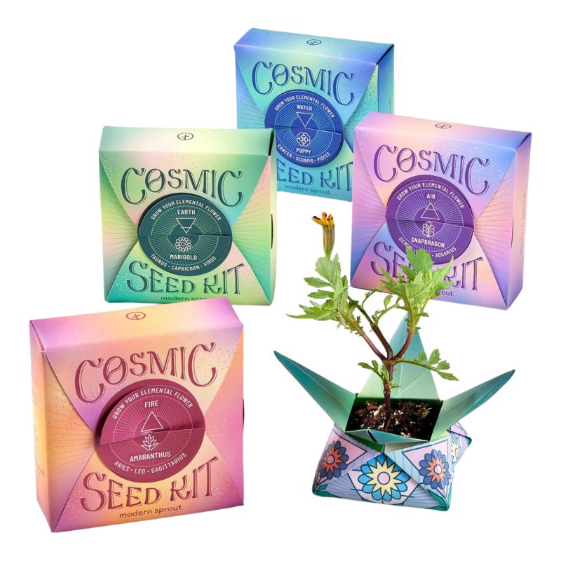 Cosmic Seed Kit