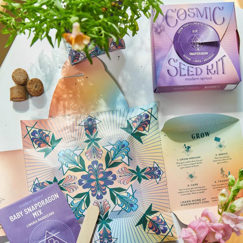 Cosmic Seed Kit