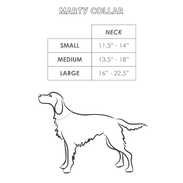 Marty Dog Collar