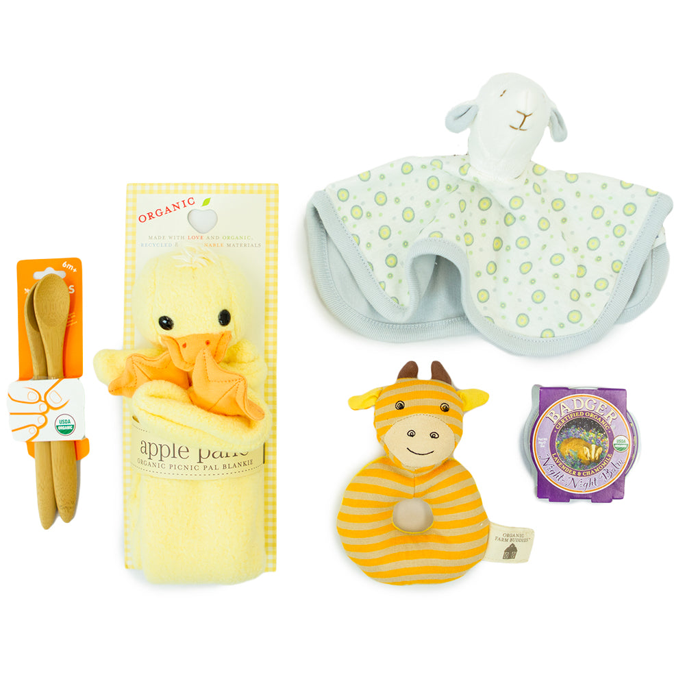 EarthHero Medium New Baby Gift Box