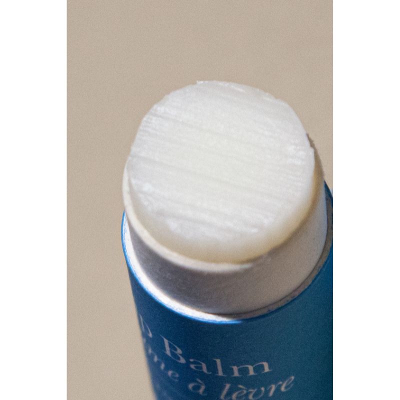 Natural Plastic Free Lip Balm