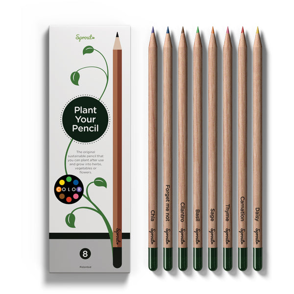 Plantable Seed Colored Pencil Set - 10 Colored Pencils – Bears for Humanity