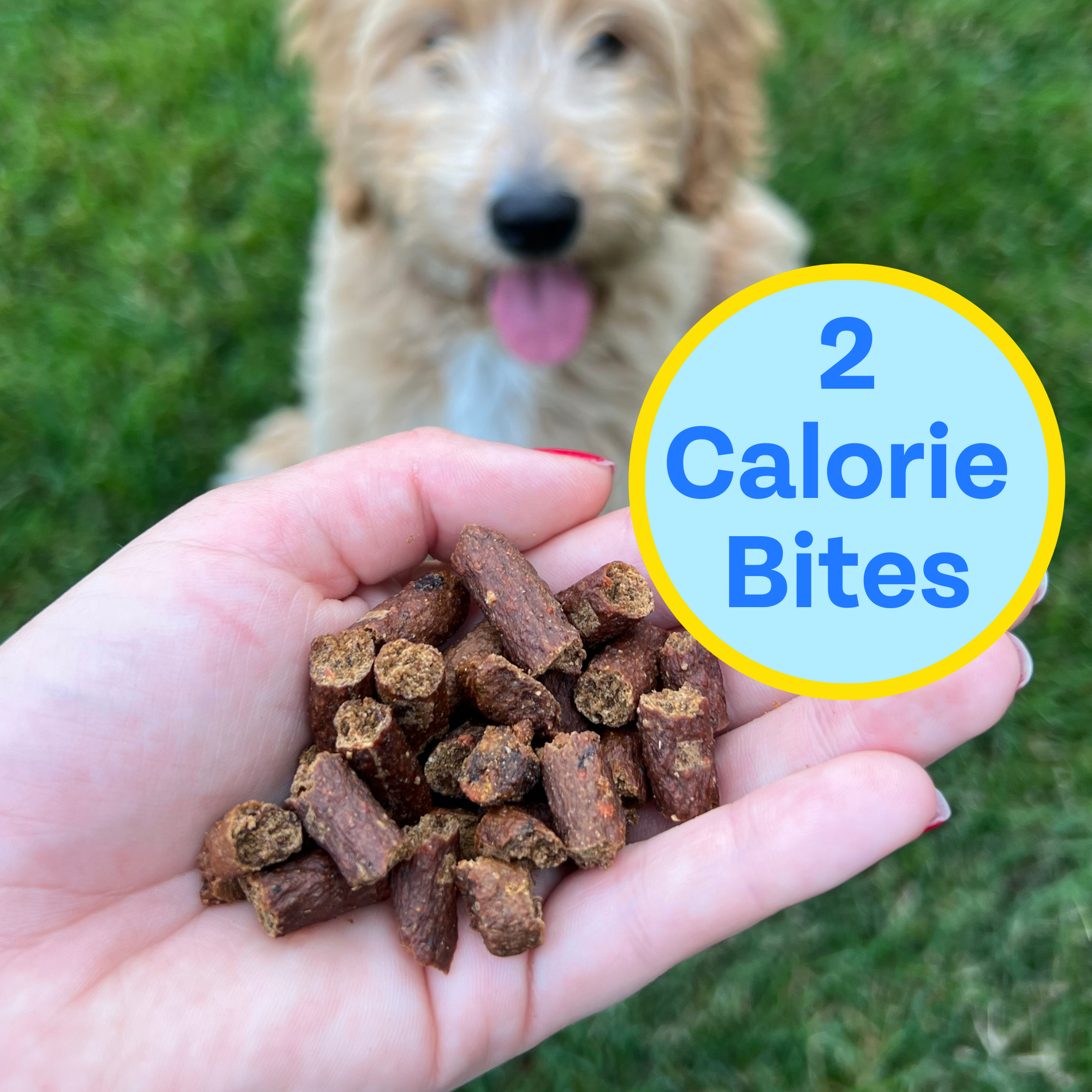 Fish Training Bites for Dogs, 2-pack
