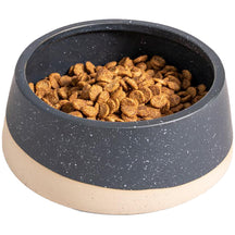 Stoneware Ceramic Dog Bowl