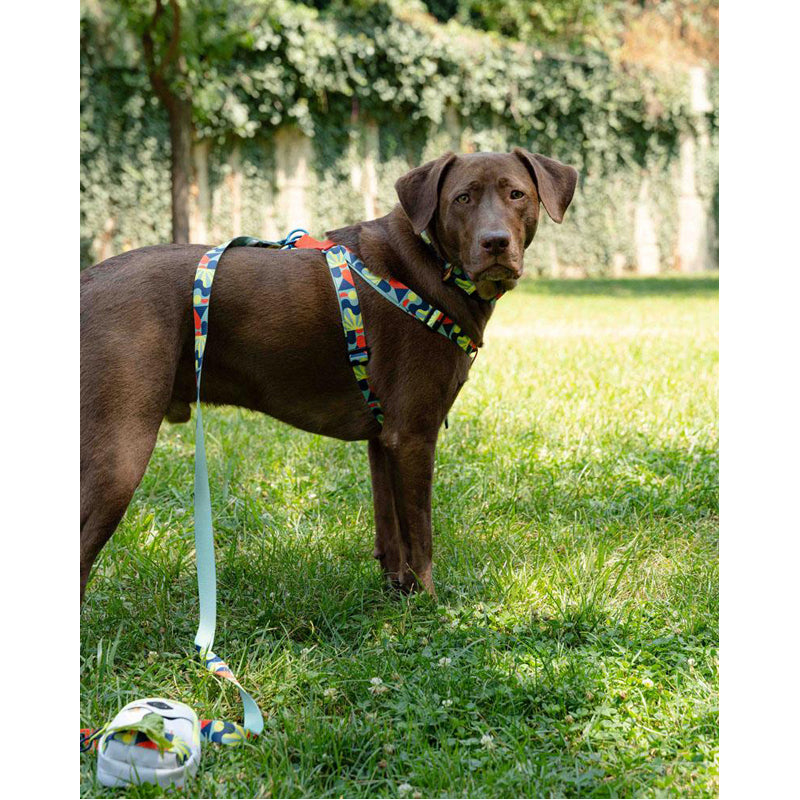 https://earthhero.com/cdn/shop/products/United-by-Blue-Recycled-Woven-Dog-Harness-Geo-Mint-2-copy-2_800x.jpg?v=1694713129