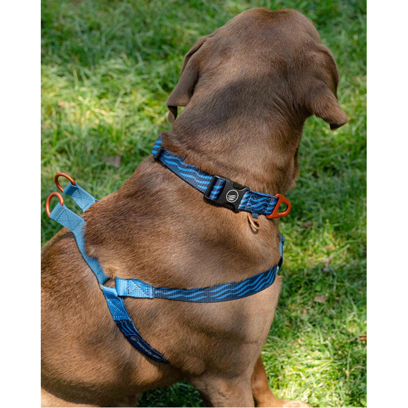 Recycled Woven Dog Harness