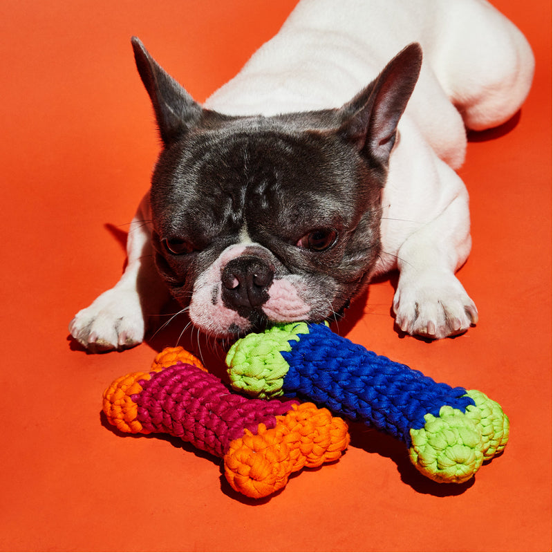 Hand Crochet Bone Dog Toy