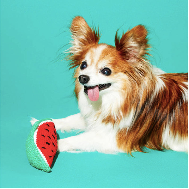 Hand Crochet Watermelon Dog Toy