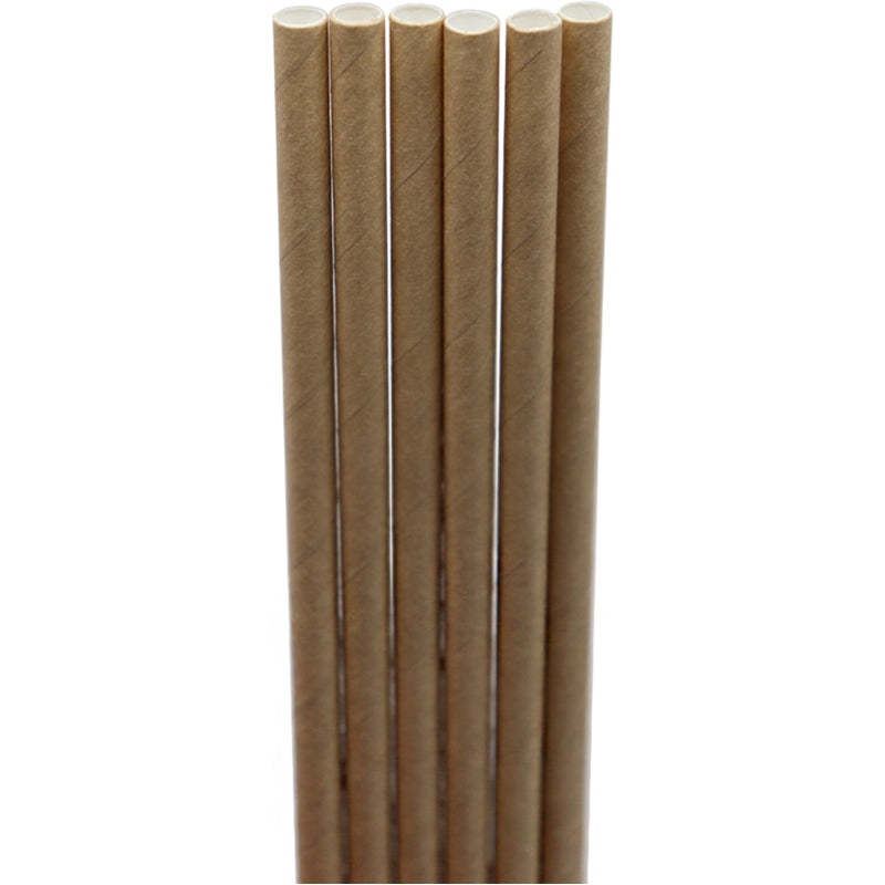 Kraft Paper Compostable Straws 8"