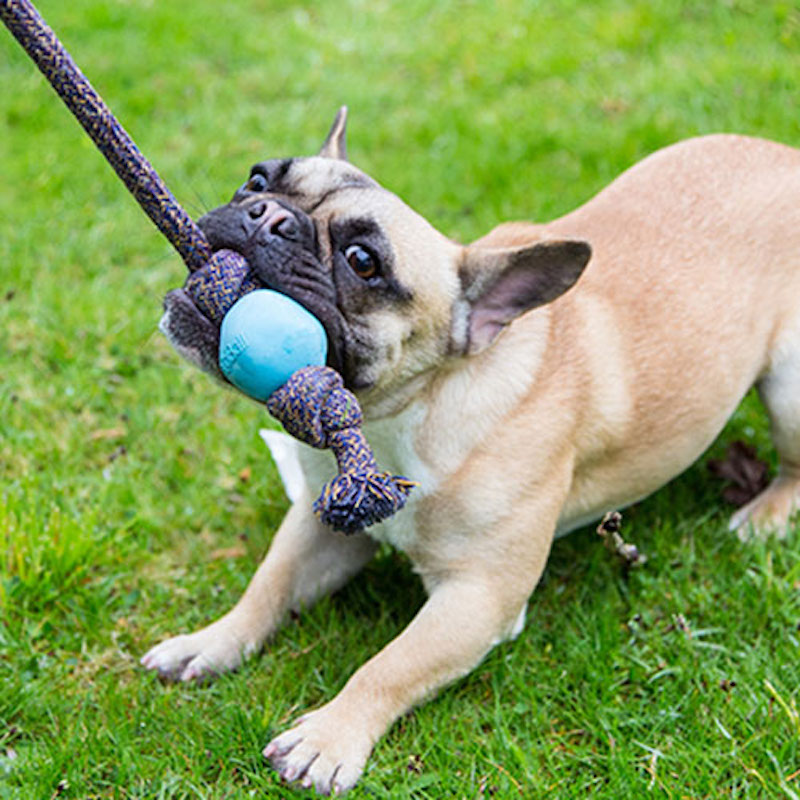 Natural Rubber Rope Ball Dog Toy