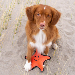 Star Fish Rough & Tough Dog Toy