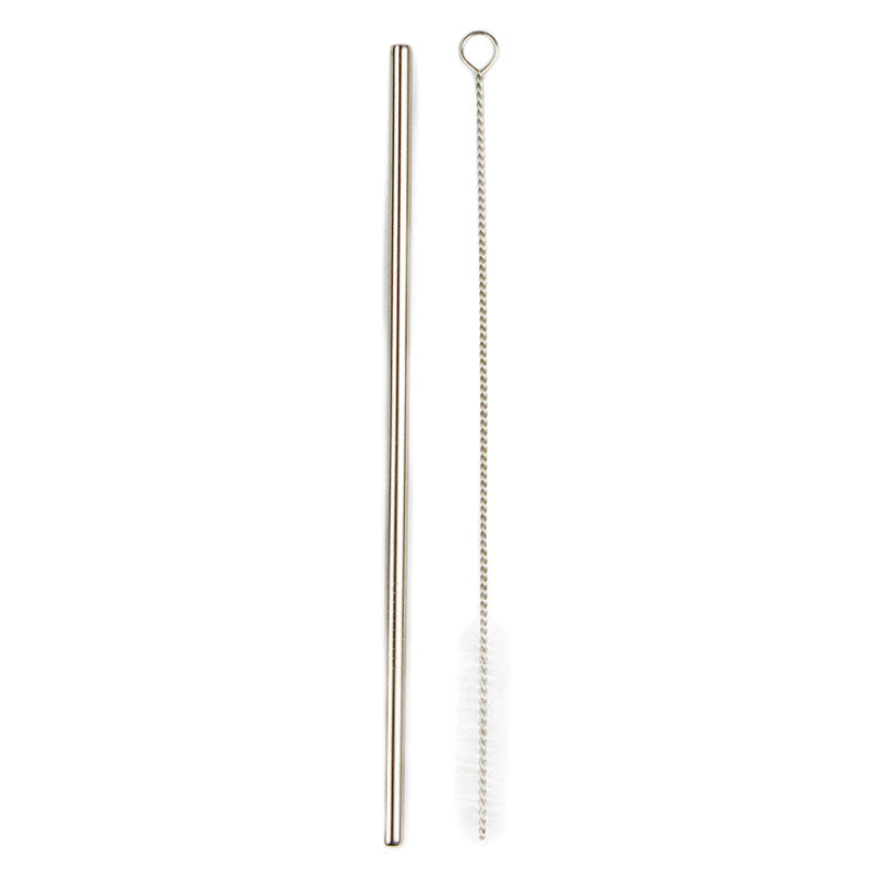 Stainless Steel Straw, Brush, and Pouch Set