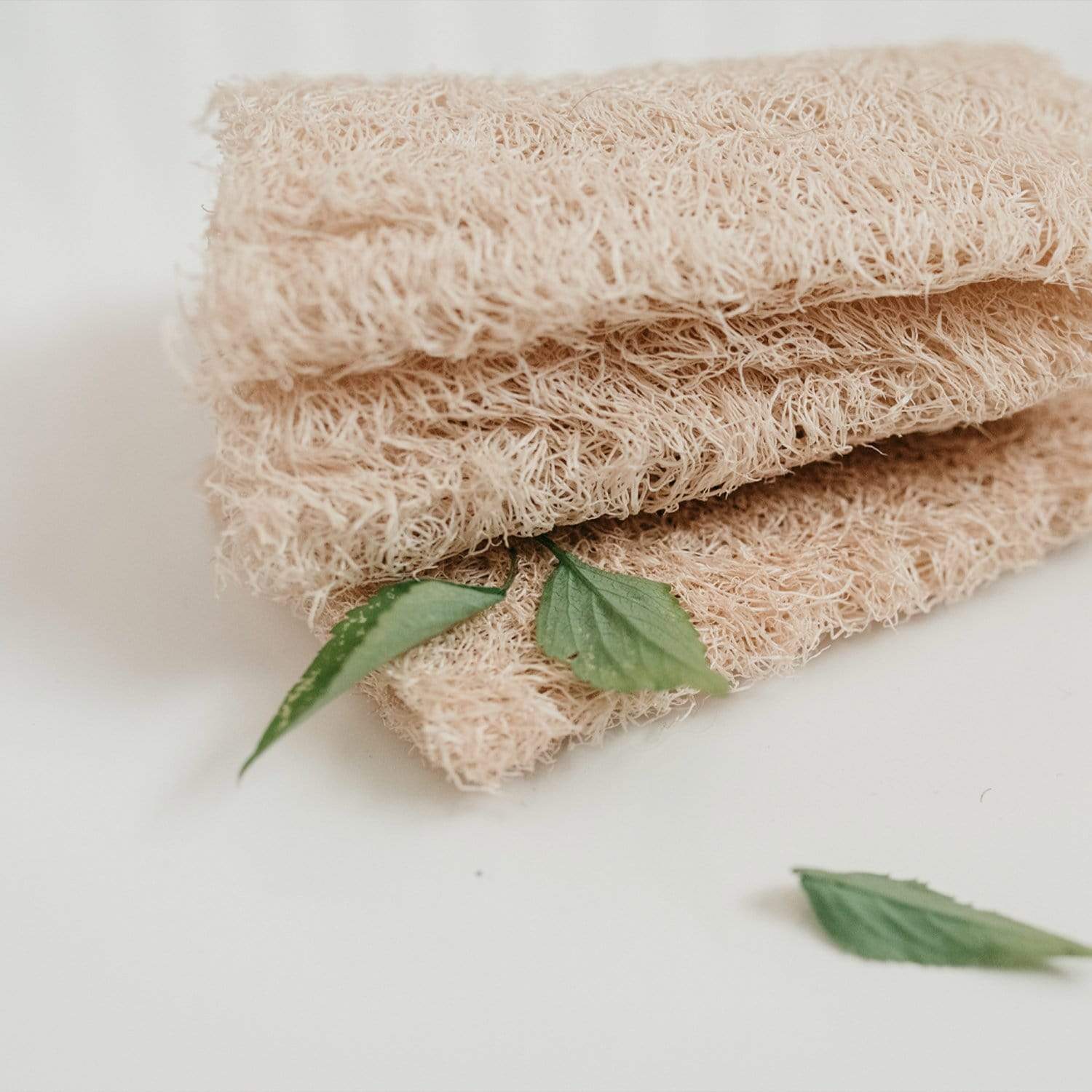 Natural Loofah Sponge-Organic Sustainable Bath & Body Sponge-Zero Wast –  Smile Boutiques