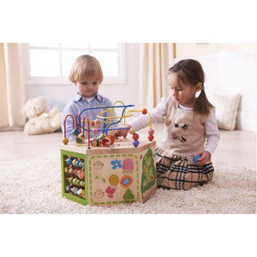 Garden Activity Cube