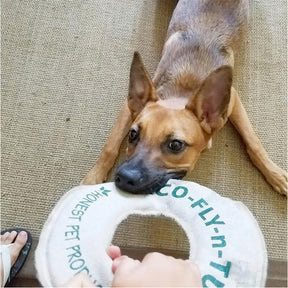 Eco Fly and Tug Dog Toy