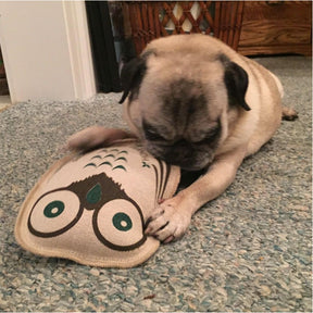 Eco Owl Buddy Dog Toy