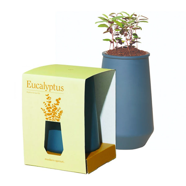 Eucalyptus Hydroponic Planter