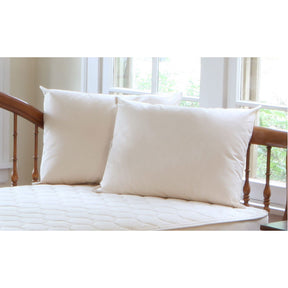 Organic Cotton Pillow
