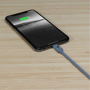 USB-C to Lightning iPhone Charging Cable