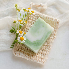 No Tox Life Aloe & Coconut Milk Soap Bar Unscented Soap Bars for Sensitive Skin