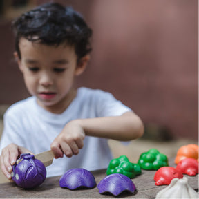 Realistic Veggie Play Food Set - 5 piece