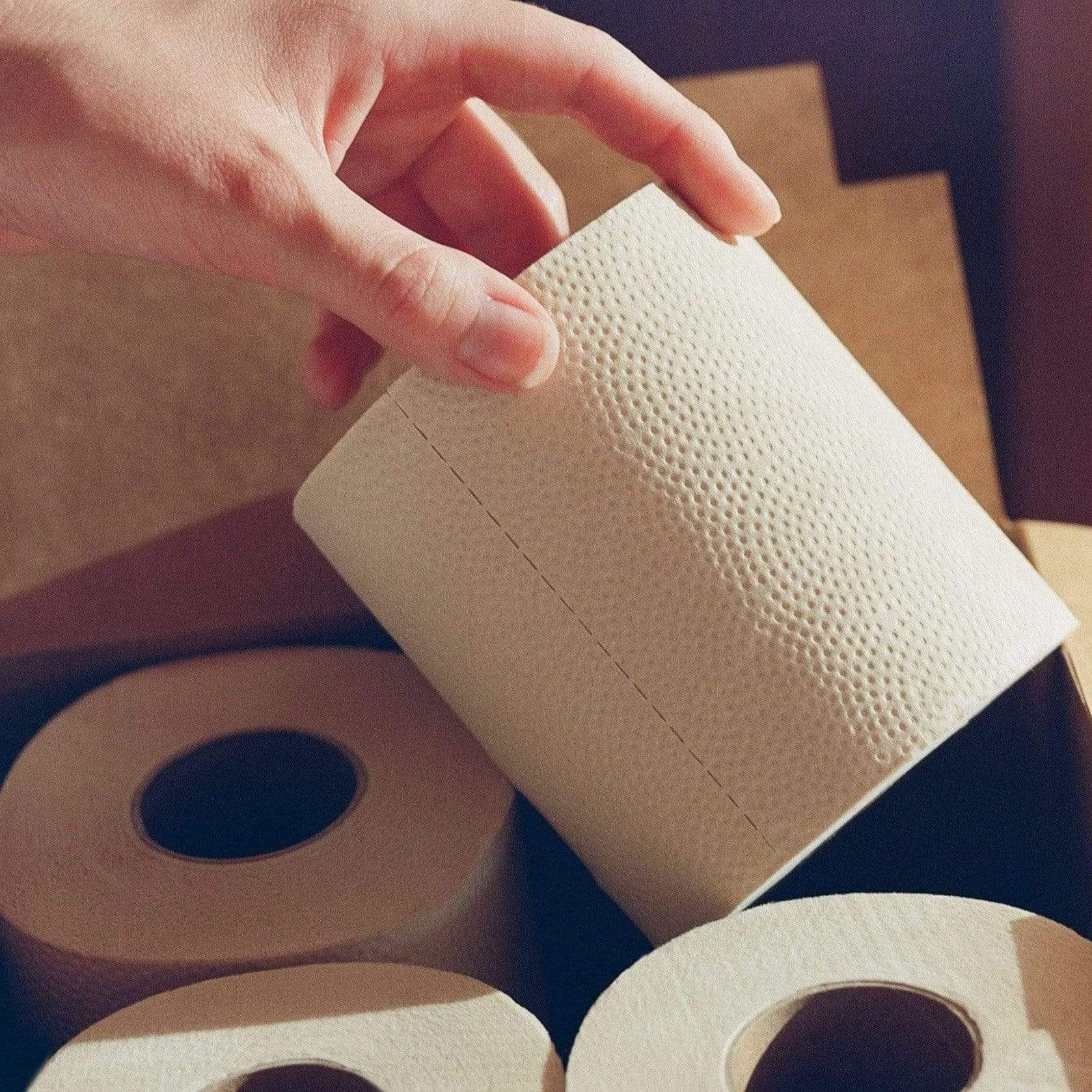 PlantPaper PlantPaper Bamboo 3 Ply Toilet Paper