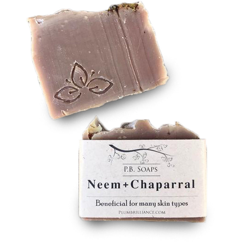 Neem + Chaparral Natural Soap Bar